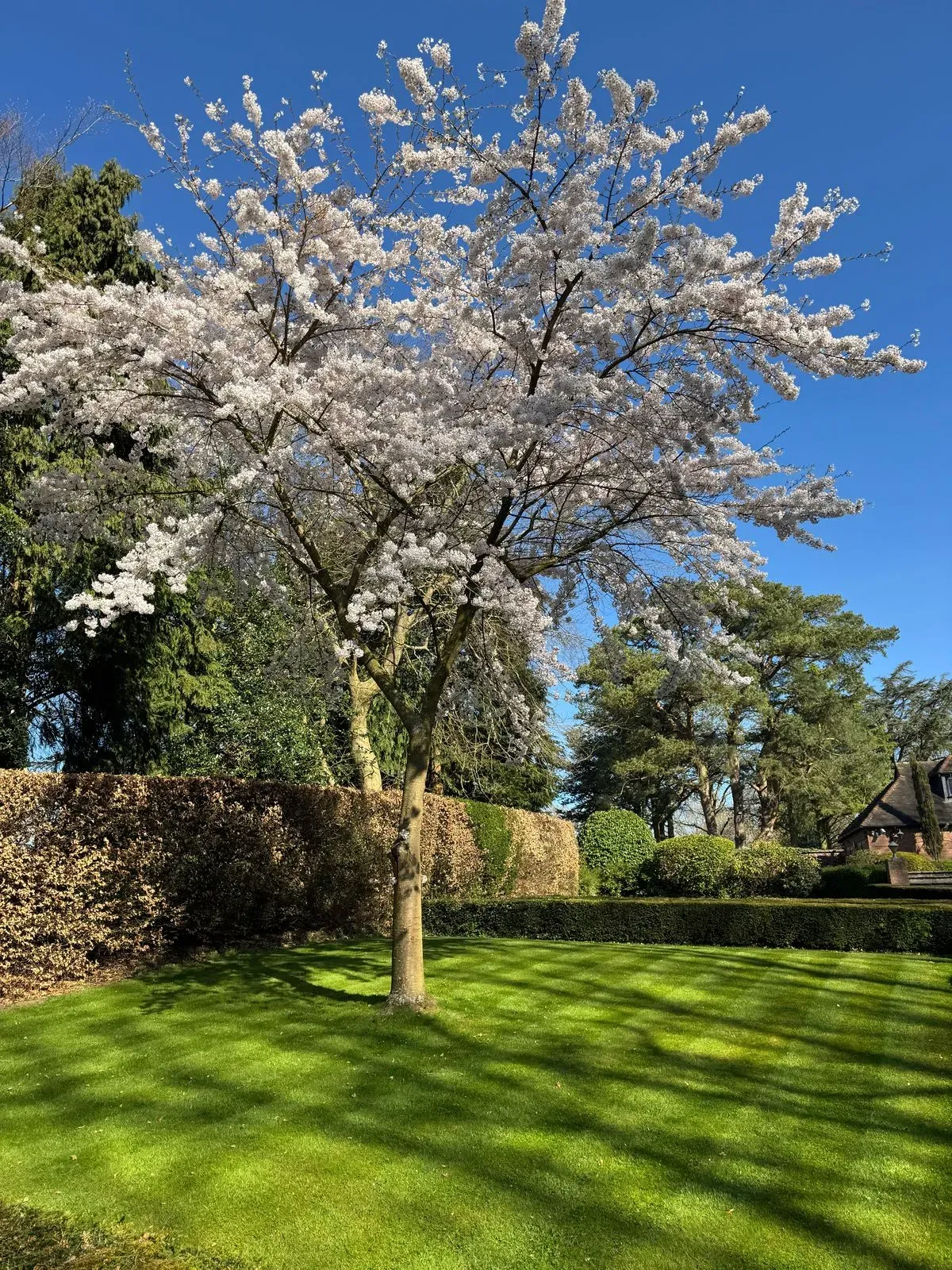 Descriptive text for the image