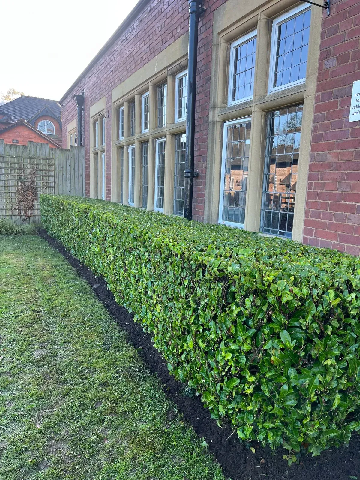 Descriptive text for the image