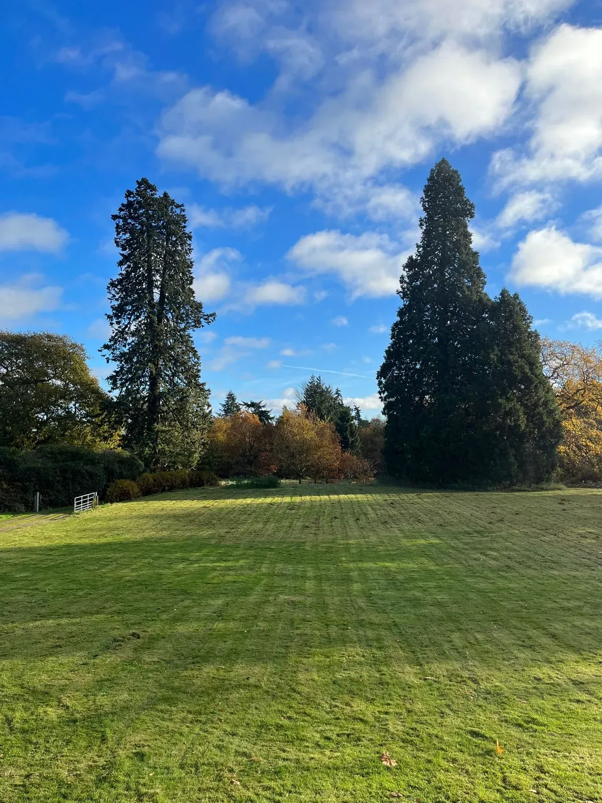 Descriptive text for the image