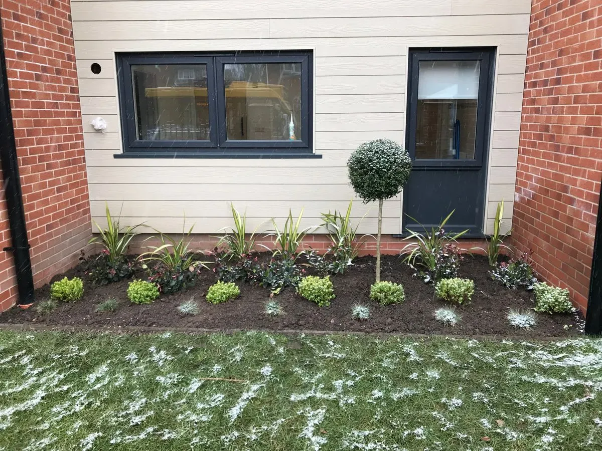 Descriptive text for the image