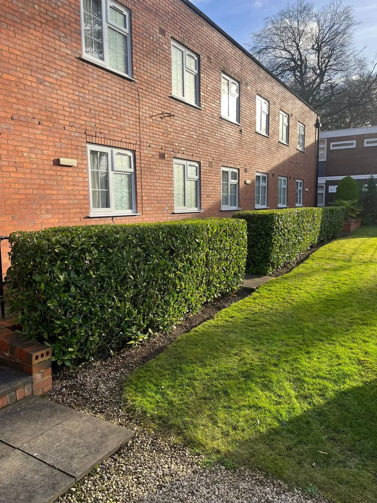 Descriptive text for the image