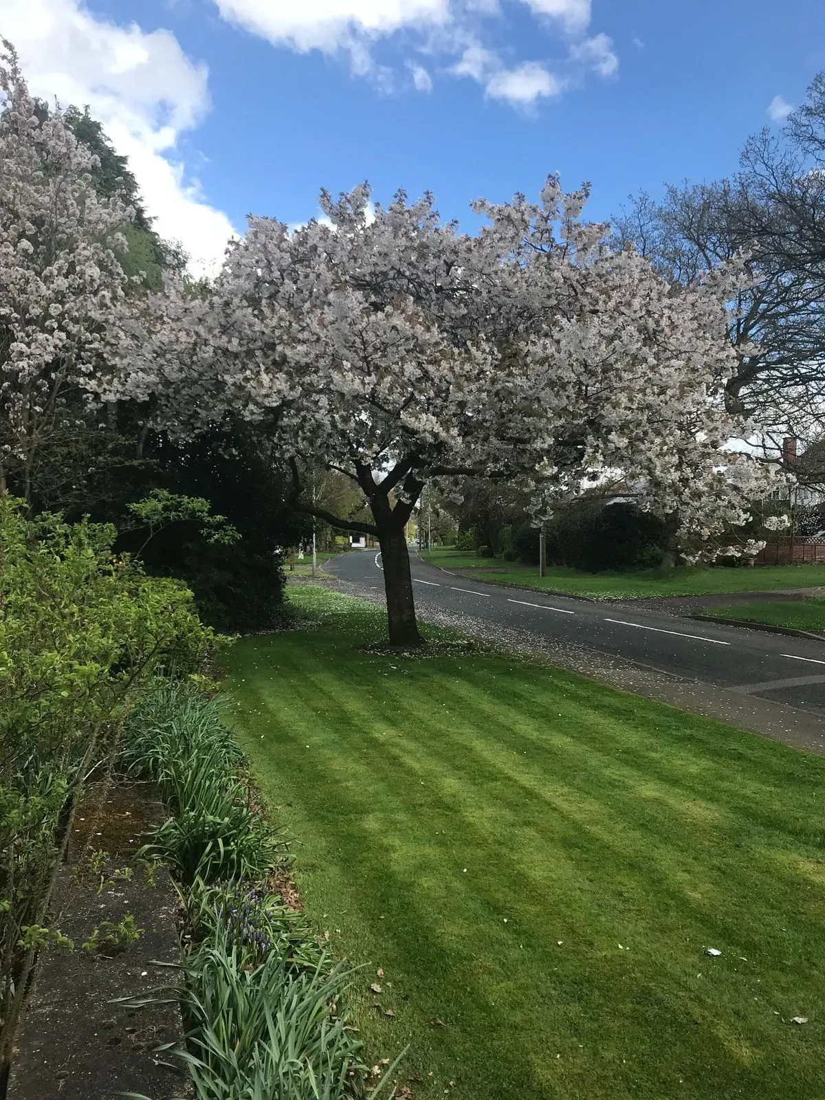 Descriptive text for the image