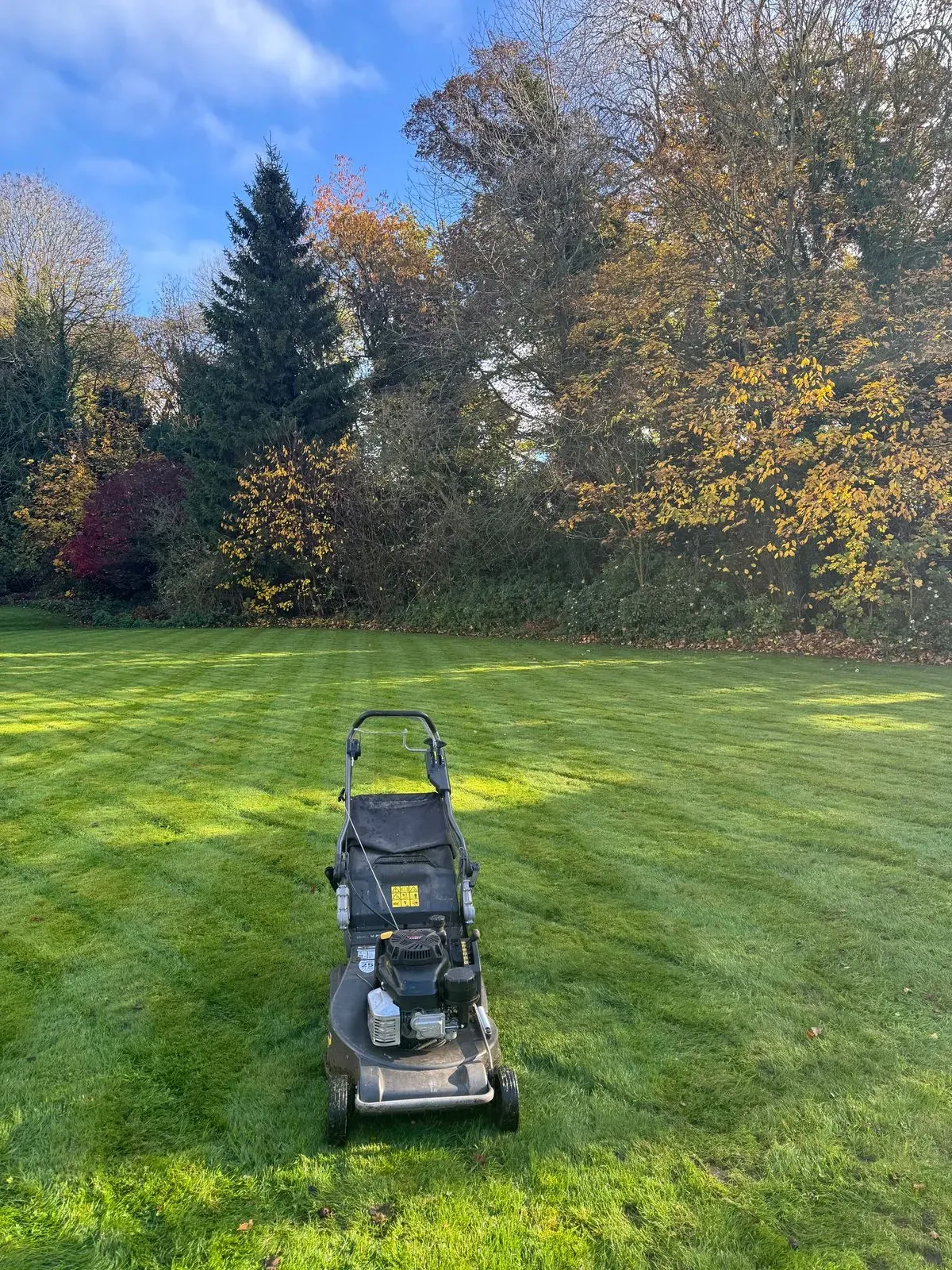 Descriptive text for the image