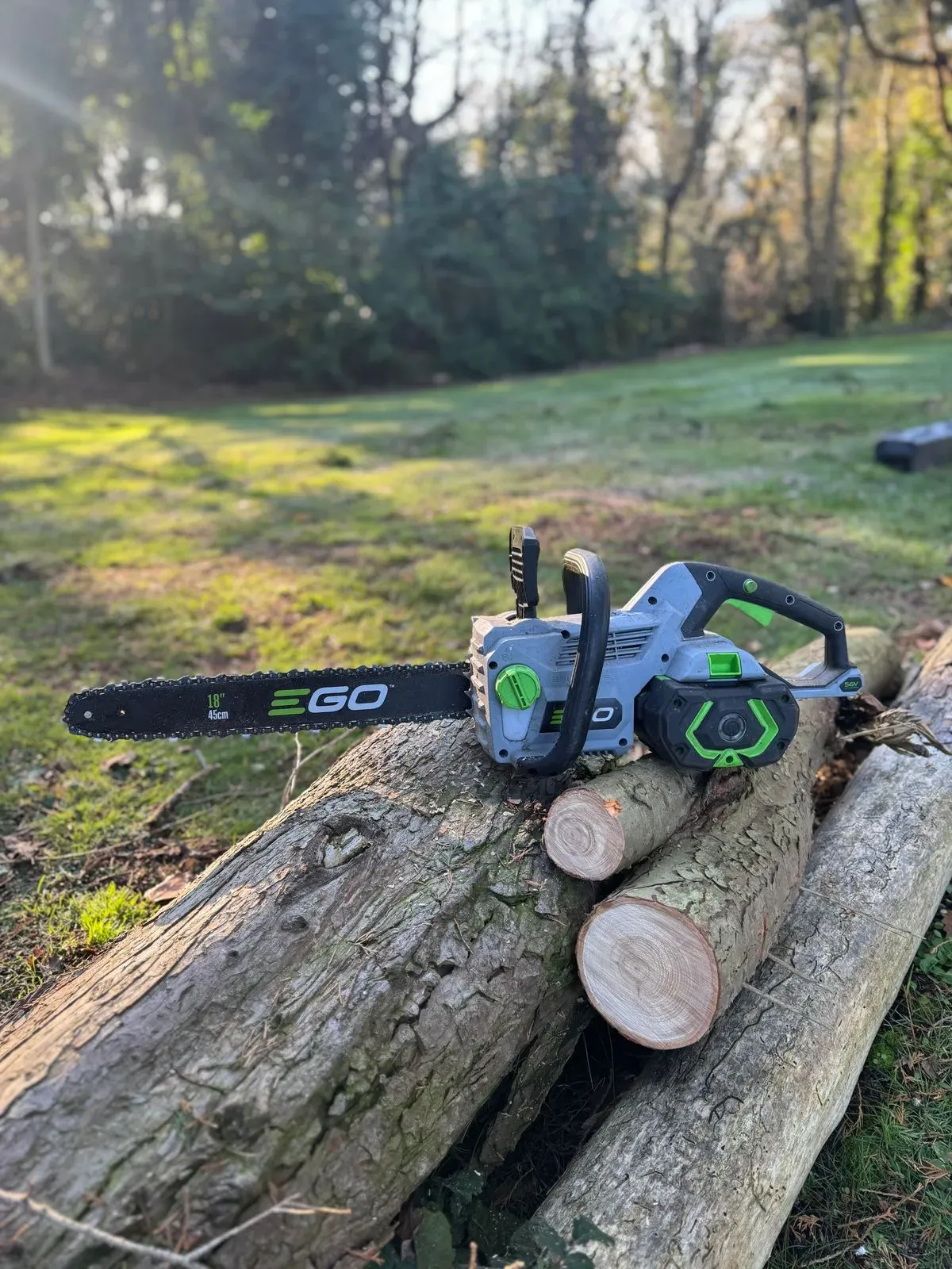 Descriptive text for the image