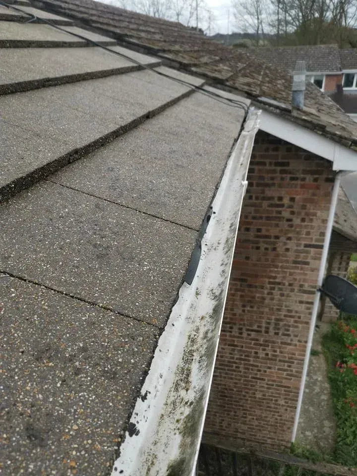 Gutter Cleaning image