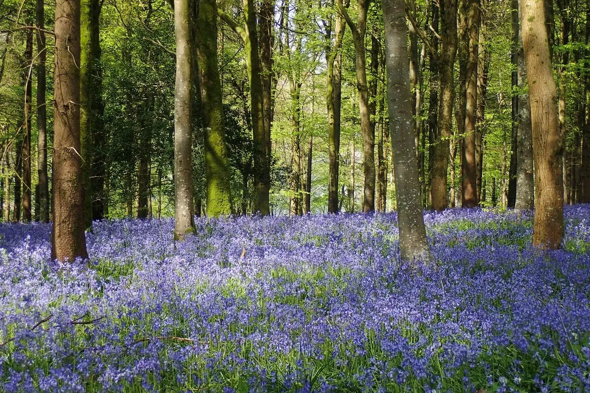 Landscape, Wildlife, Mindful & Underwater Photography Courses, Prints & Gifts, Talks image