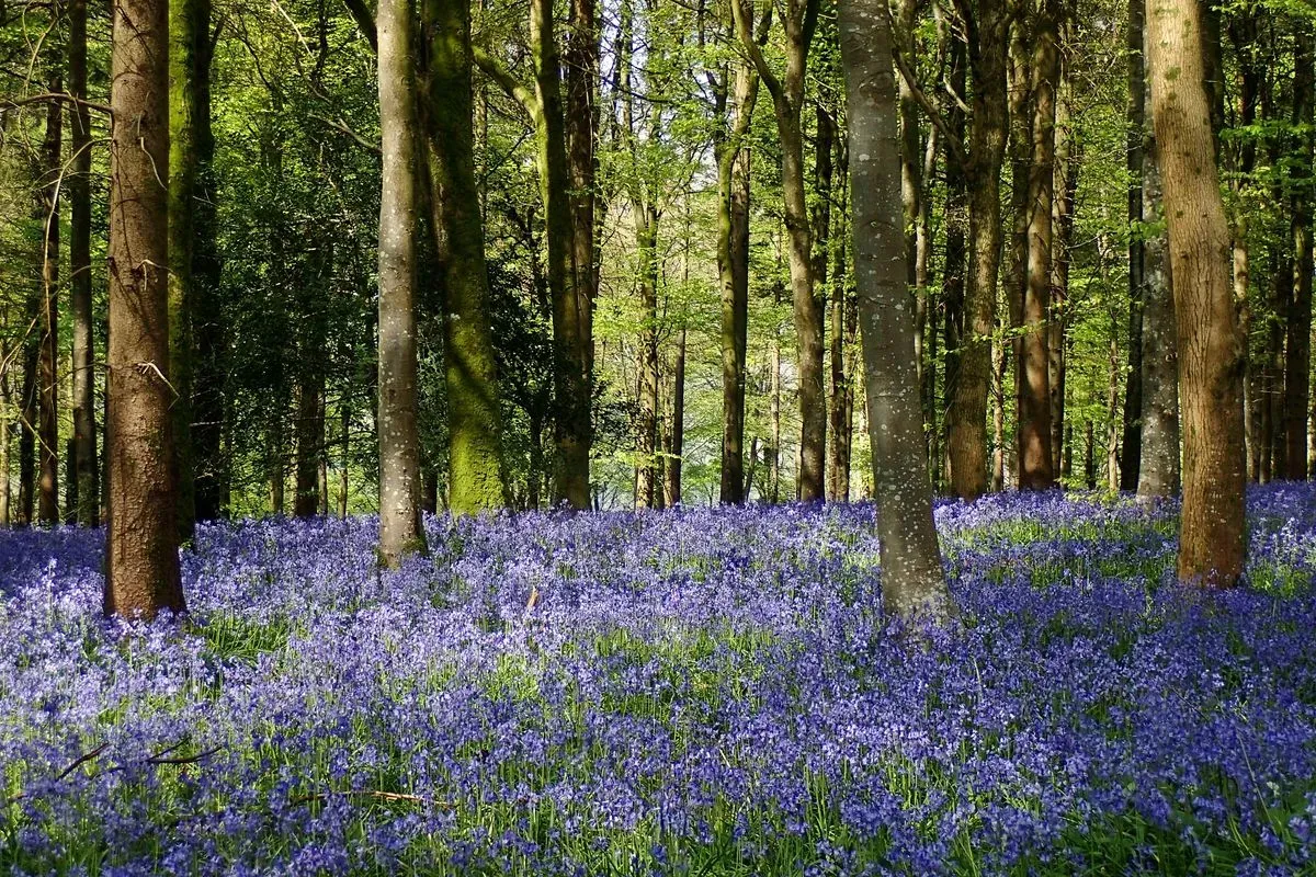 Landscape, Wildlife, Mindful & Underwater Photography Courses, Prints & Gifts, Talks image