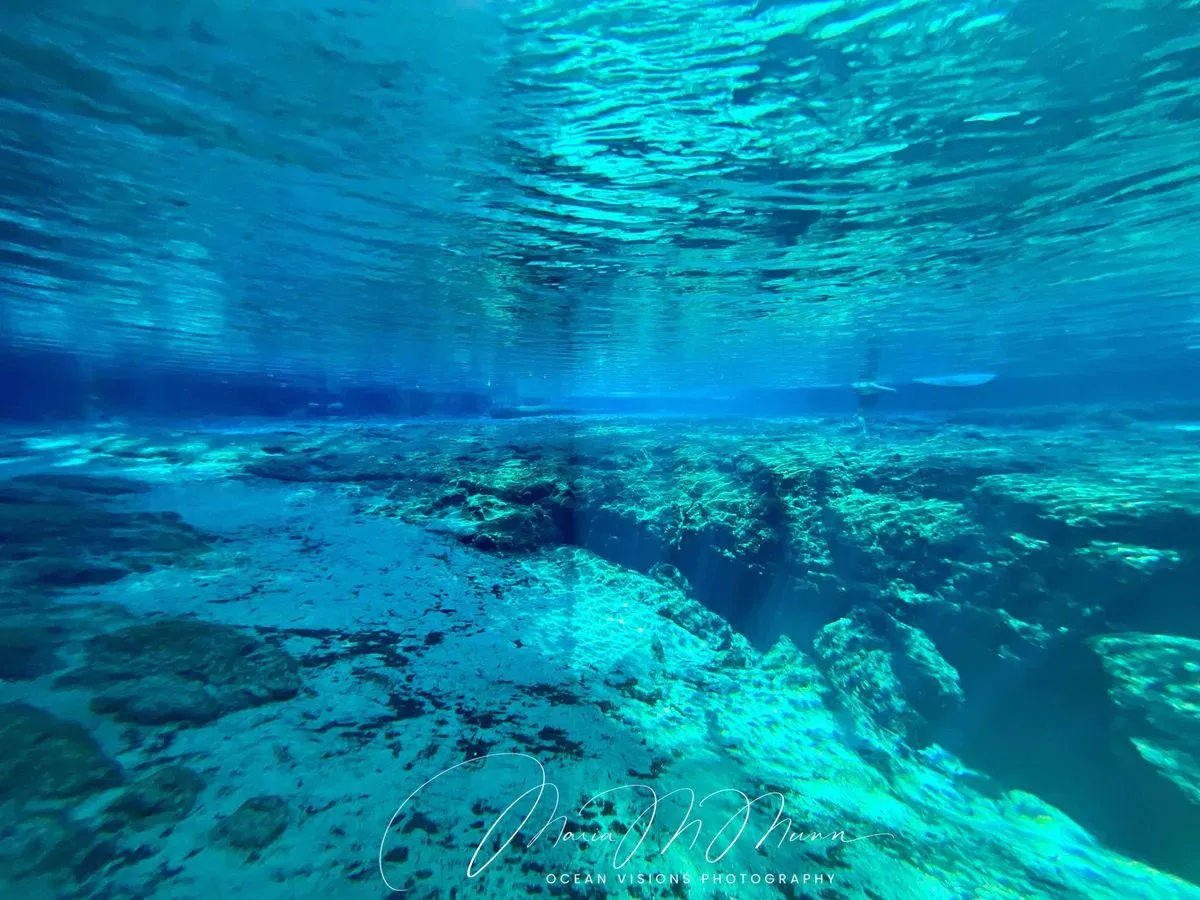 Descriptive text for the image