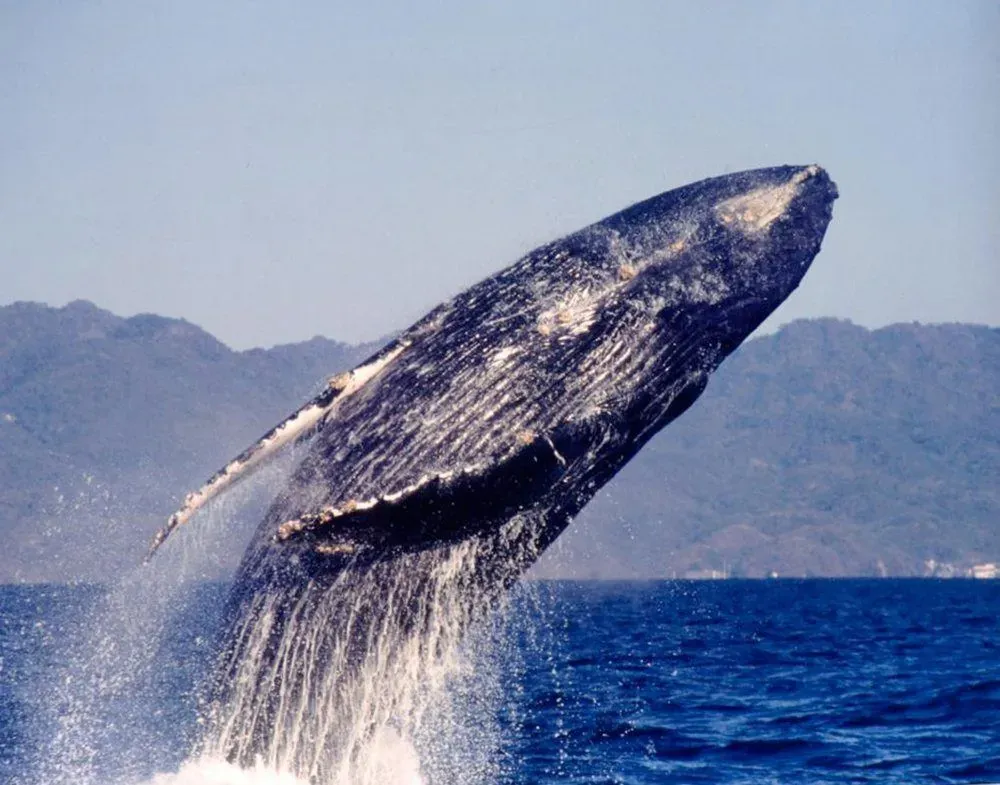 Landscape, Wildlife, Mindful & Underwater Photography Courses, Prints & Gifts, Talks image