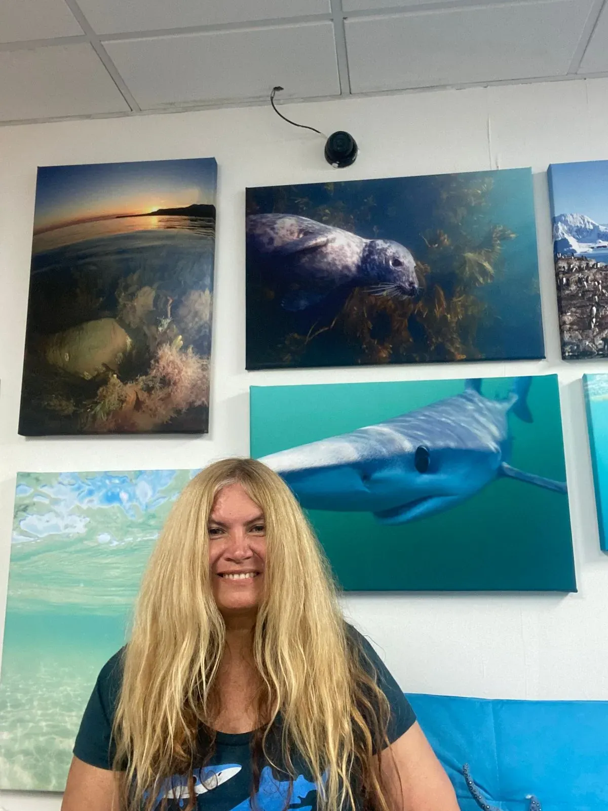 Descriptive text for the image