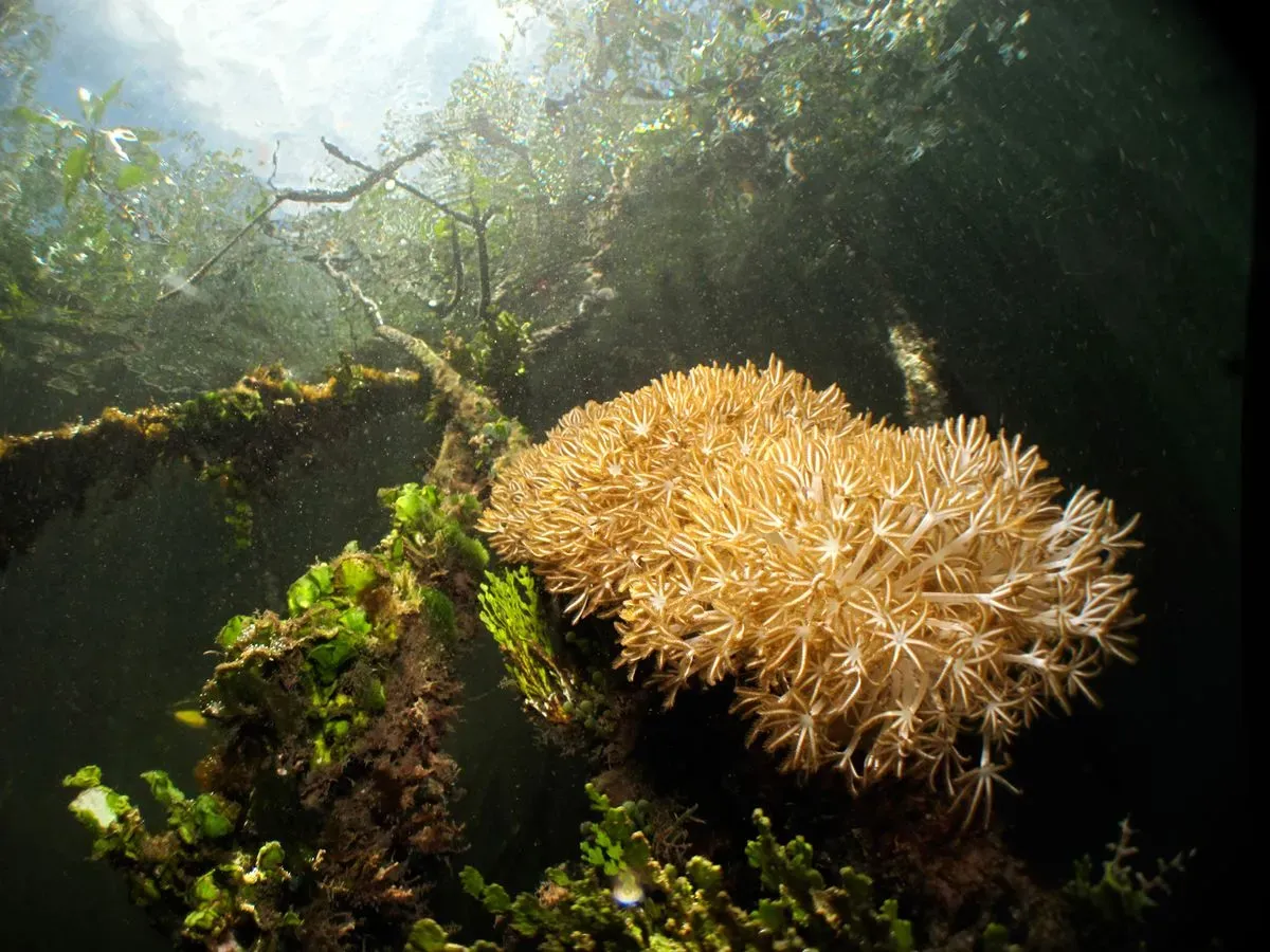 Landscape, Wildlife, Mindful & Underwater Photography Courses, Prints & Gifts, Talks image