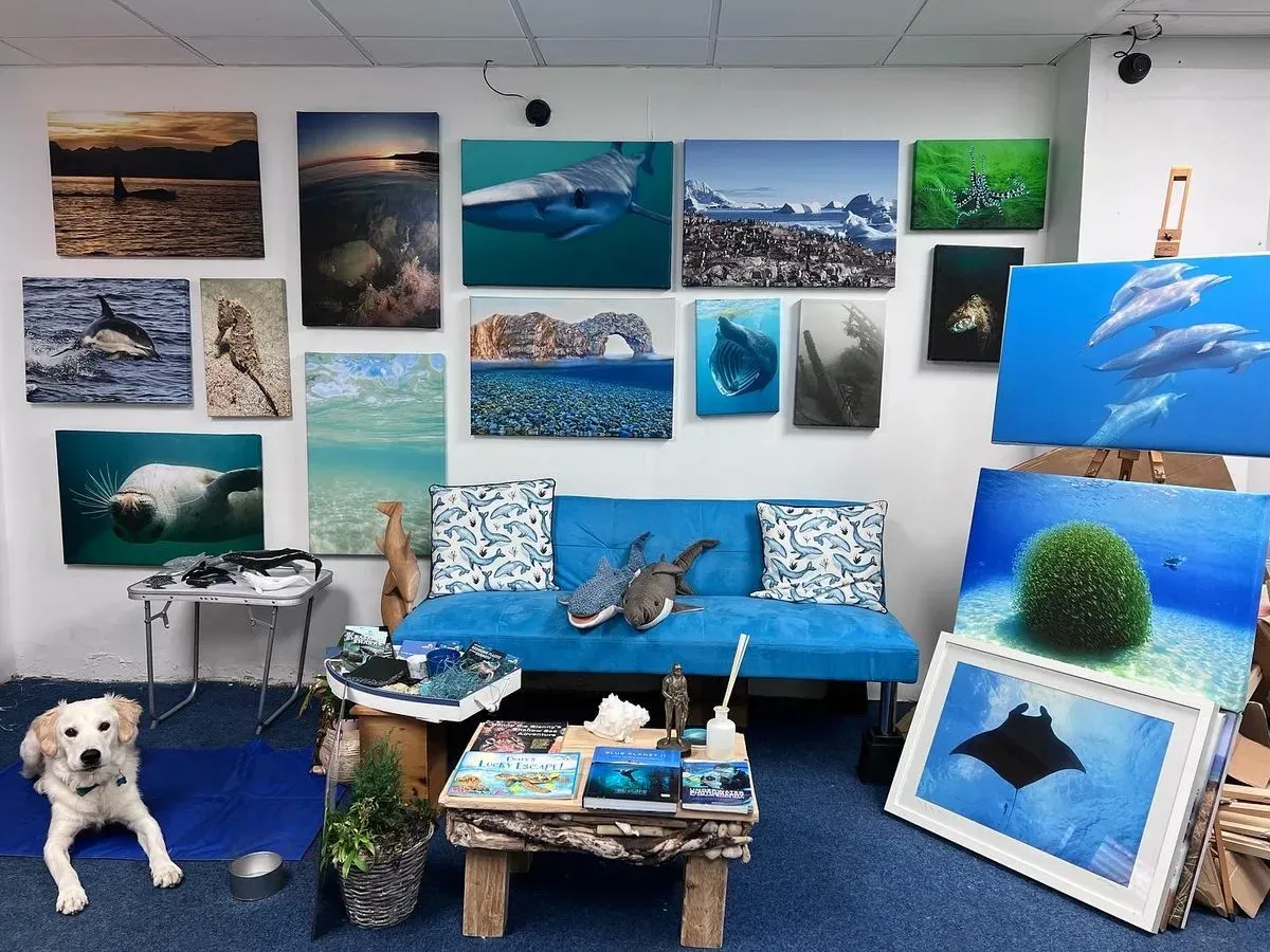 Descriptive text for the image