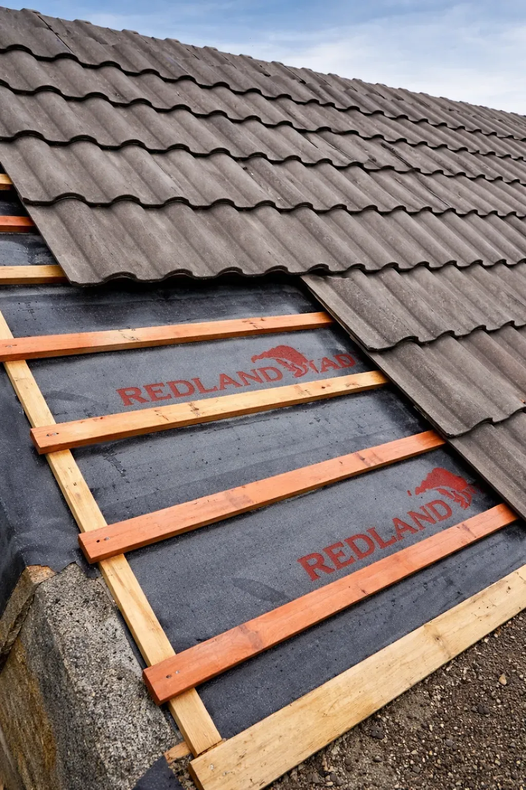 Descriptive text for the image