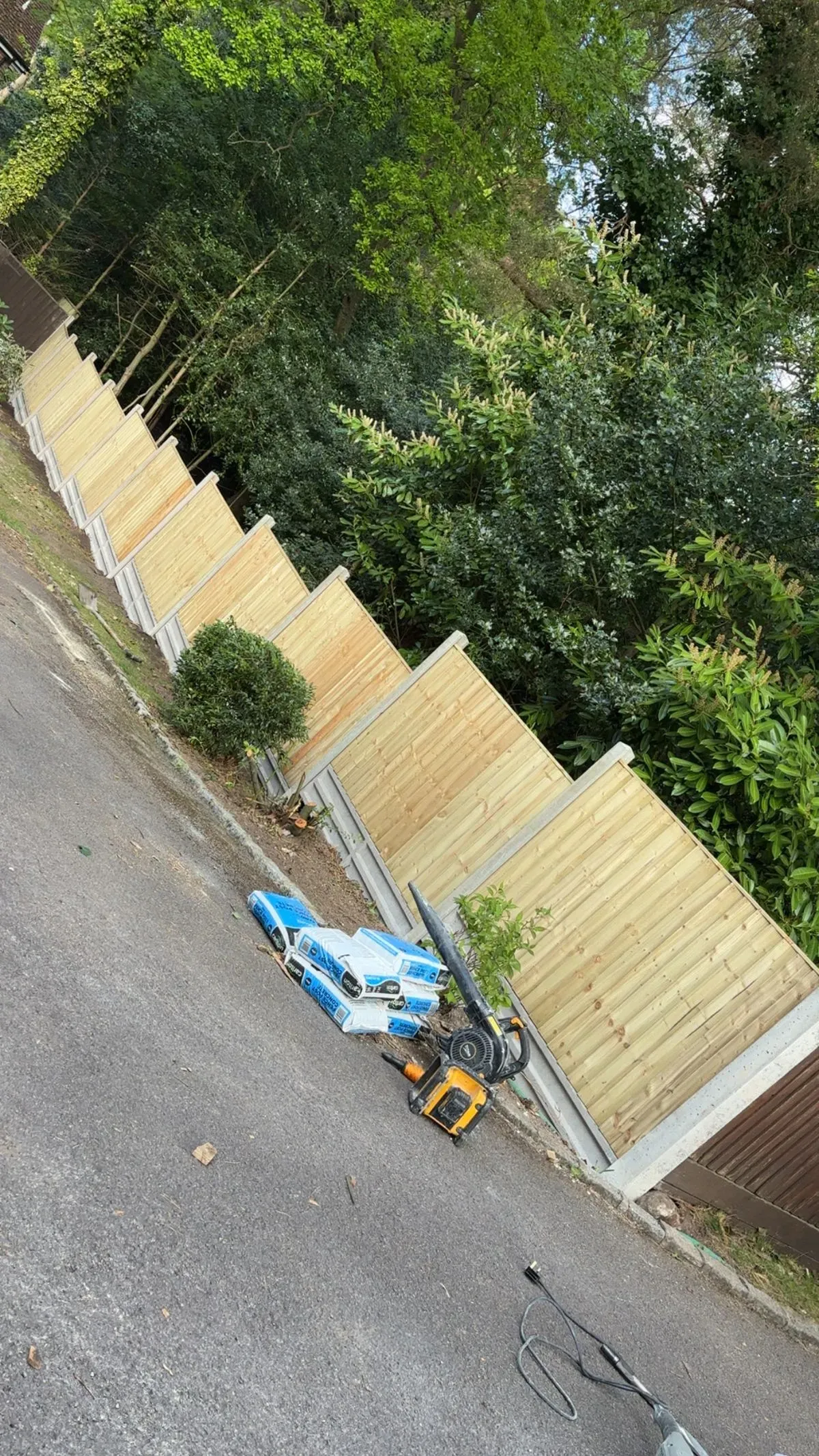 Descriptive text for the image