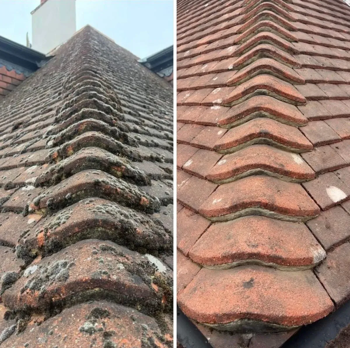 Descriptive text for the image