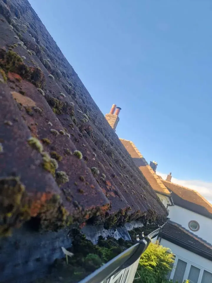 Gallery image 10