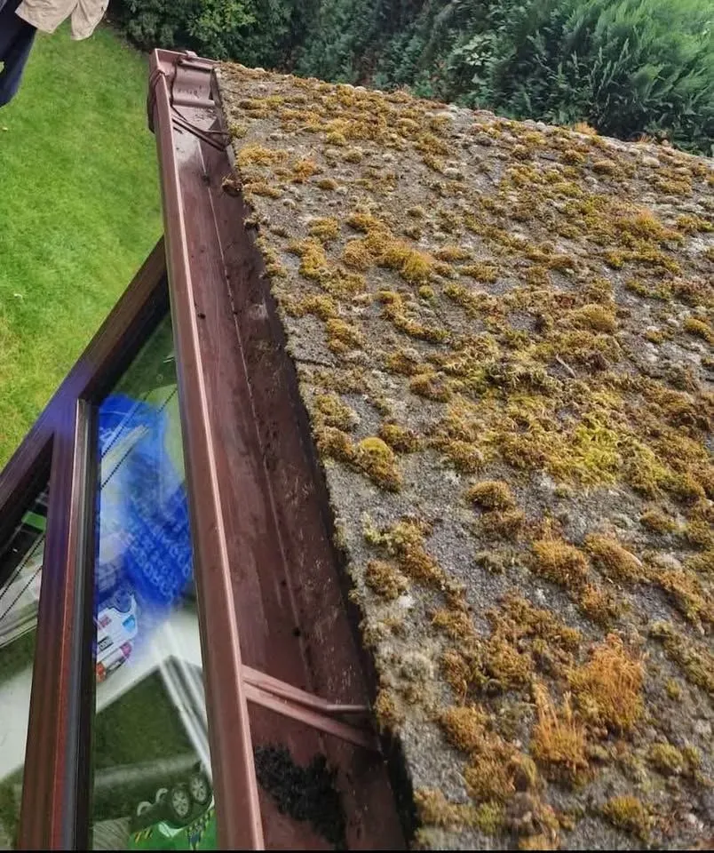 Gutter clearing / cleaning and artificial turf cleaning / maintenance. More services to be added in the future. image background image