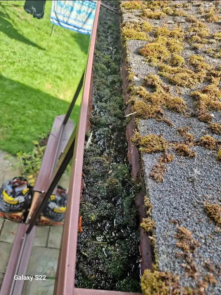 Gutter clearing / cleaning and artificial turf cleaning / maintenance. More services to be added in the future. image background image