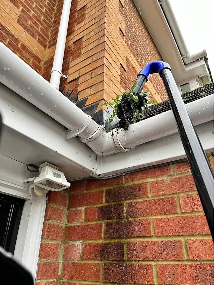 Gutter clearing / cleaning and artificial turf cleaning / maintenance. More services to be added in the future. image background image