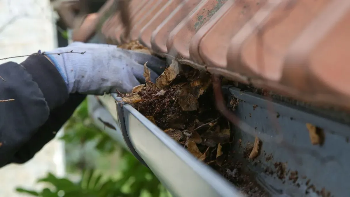 Gutter Cleaning in Acton