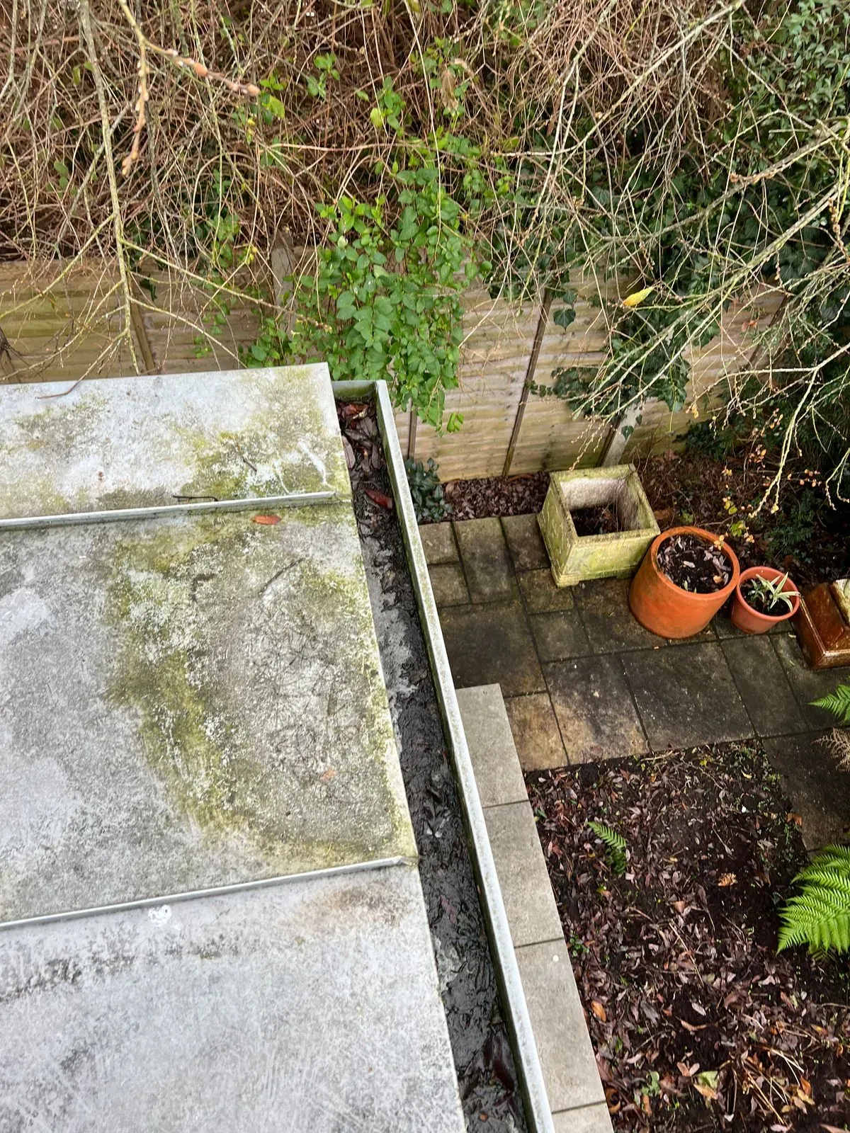 Gallery image 1