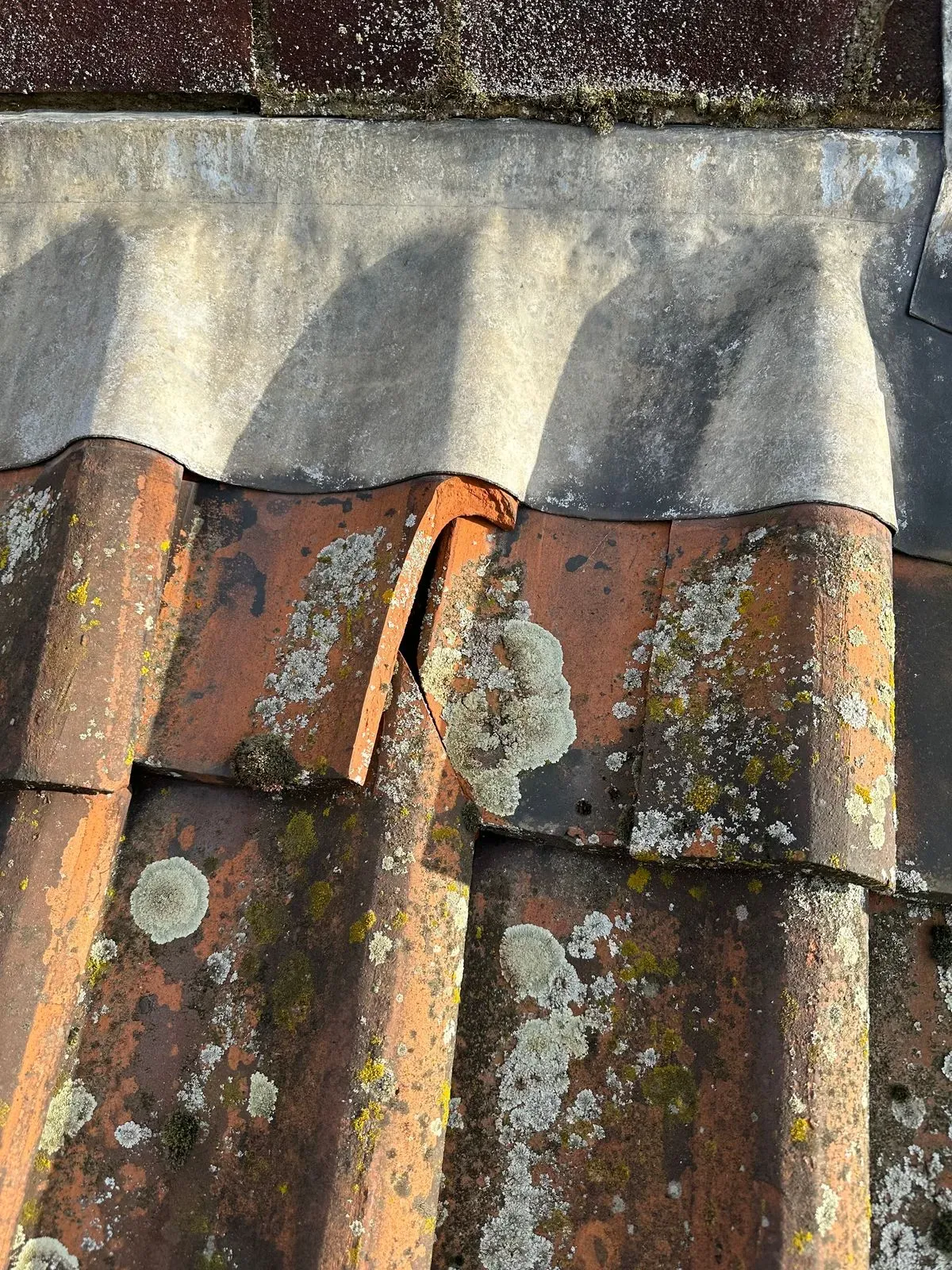 Roof inspection image