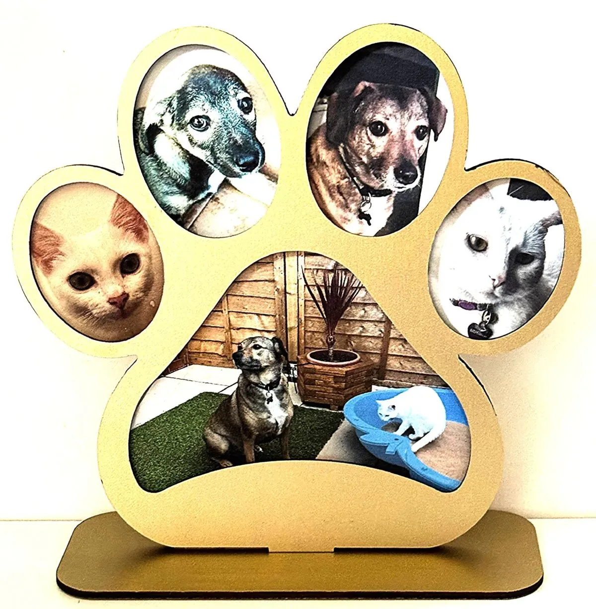 undefined thumbnail image