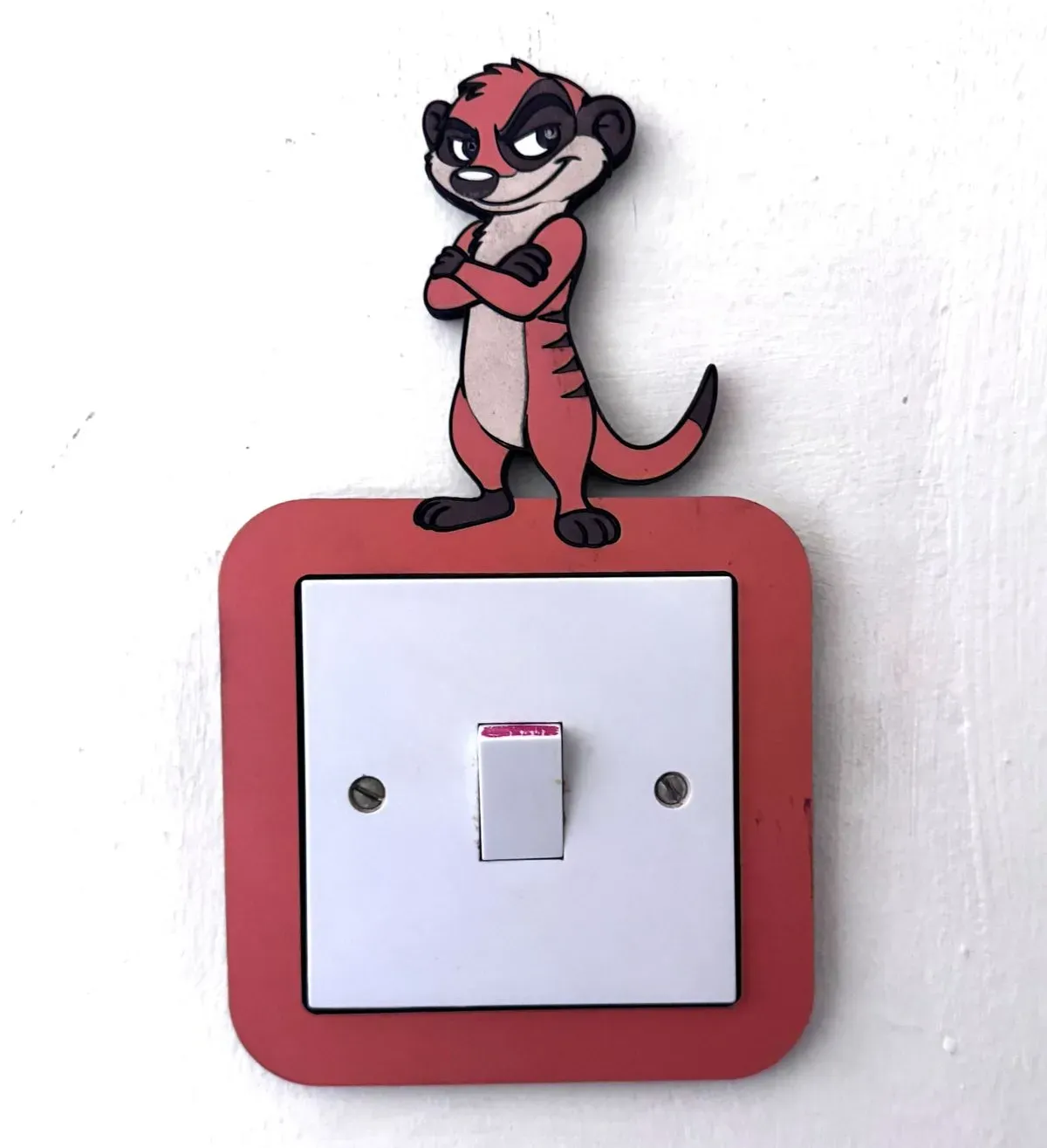8219677190740-vmoa1yohaohdnhpkrj5fvq-Light-Switch-Frame---Meerkat thumbnail image