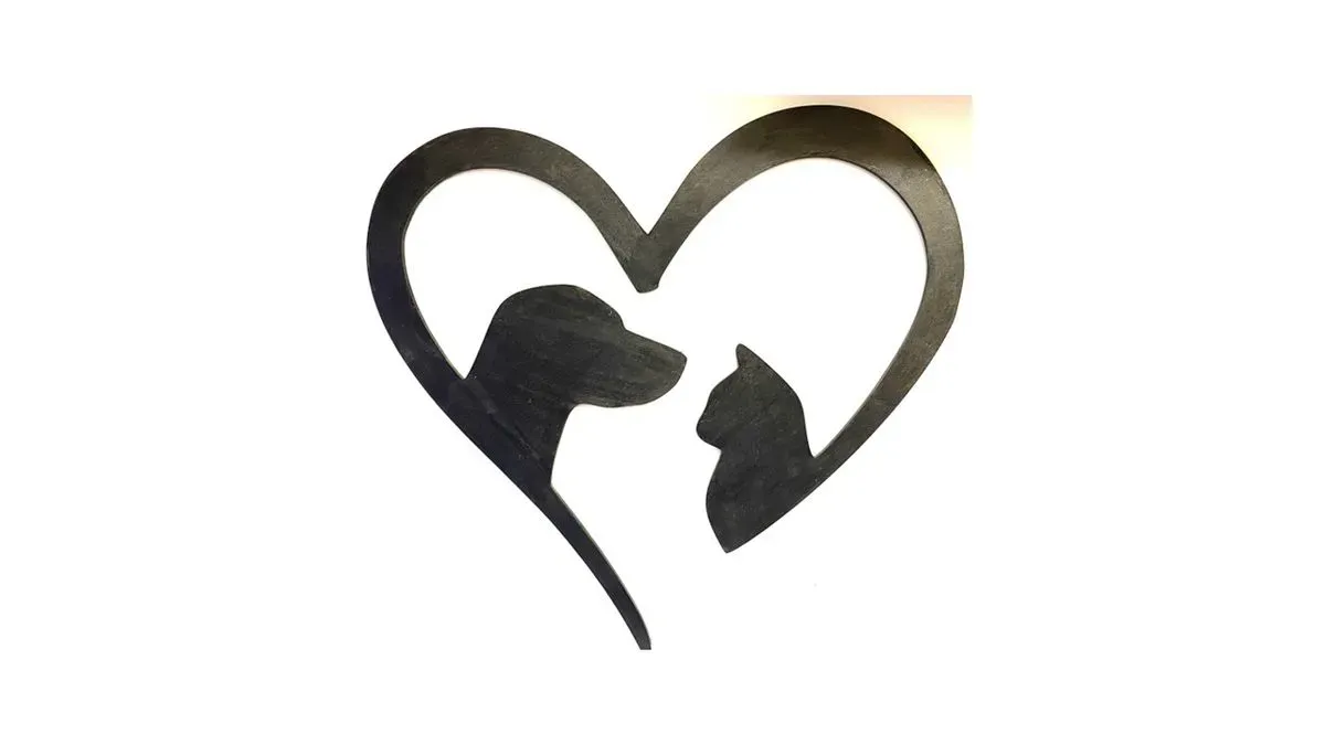 Cat & Dog thumbnail image