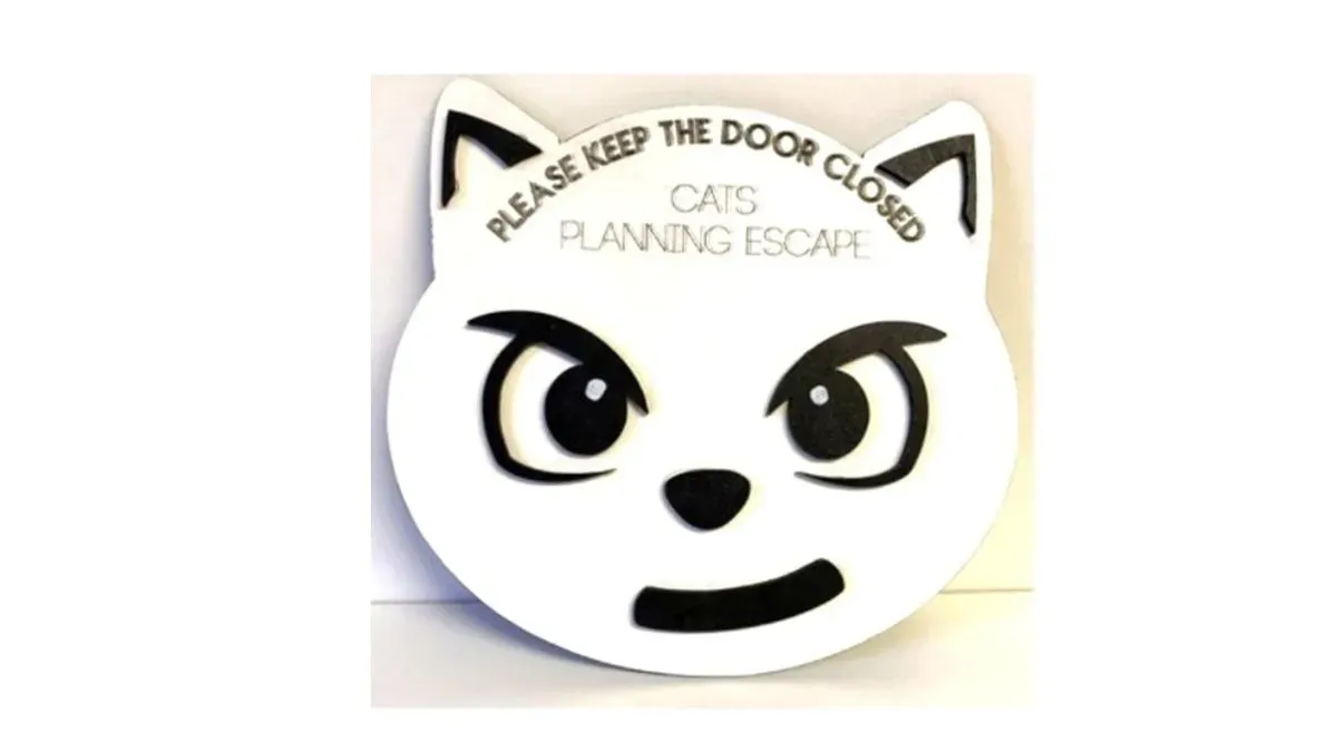 Cat escape white thumbnail image