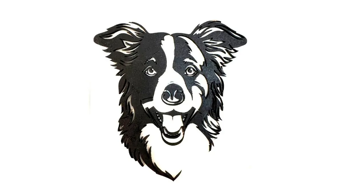 Collie thumbnail image