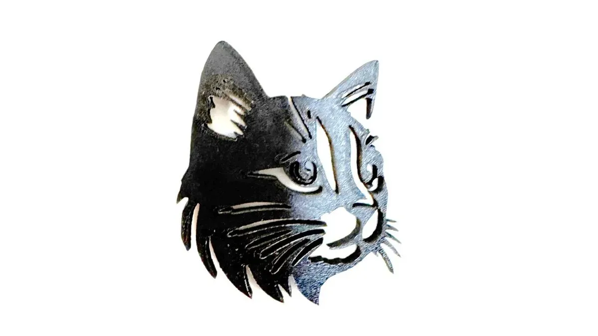 cat thumbnail image