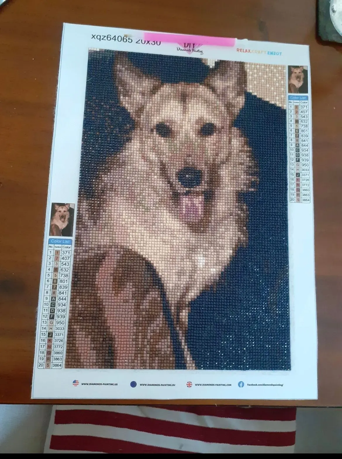 Pet Portraits