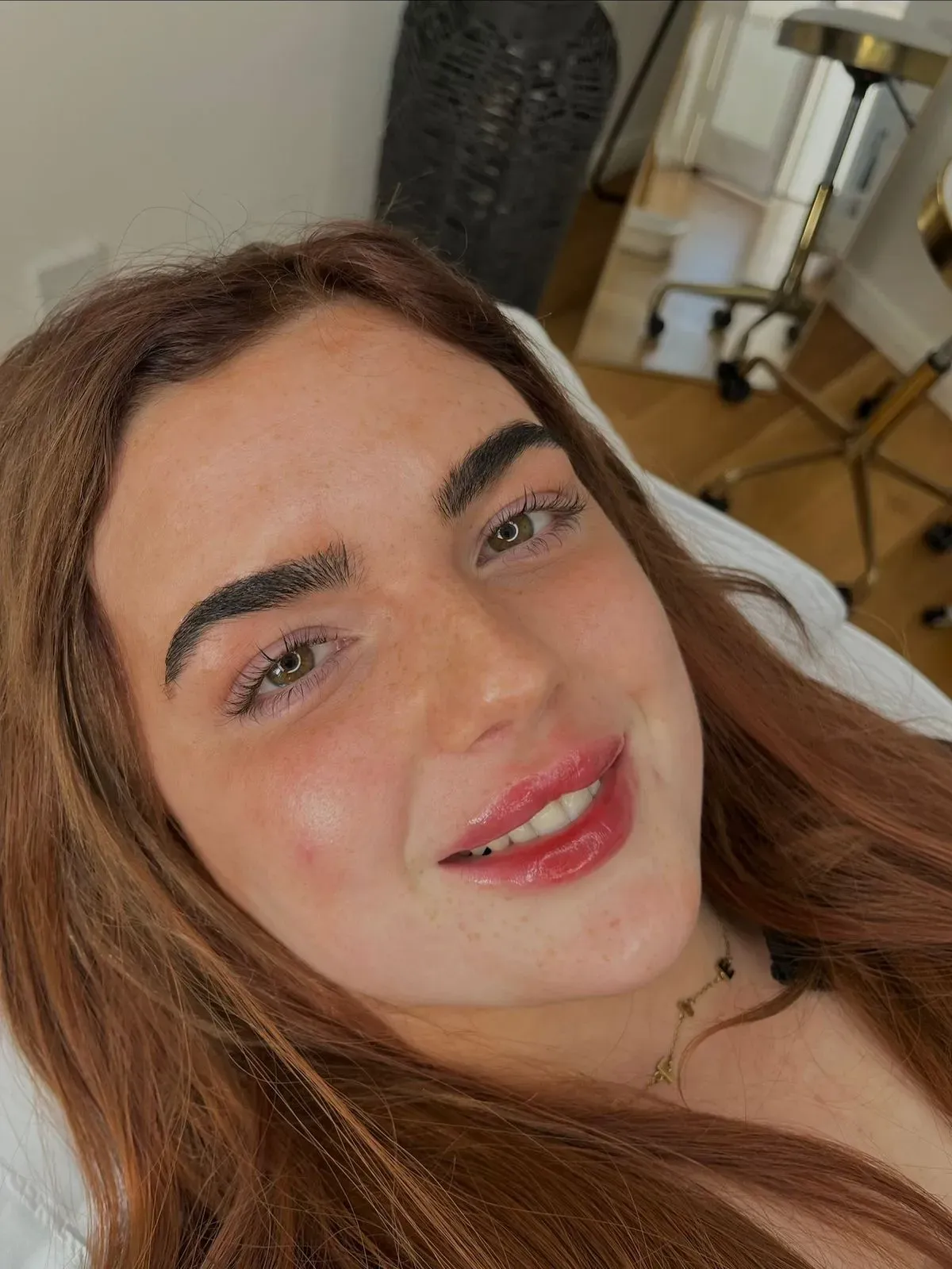 Descriptive text for the image