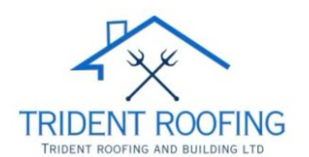 Trident roofing and building ltd logo