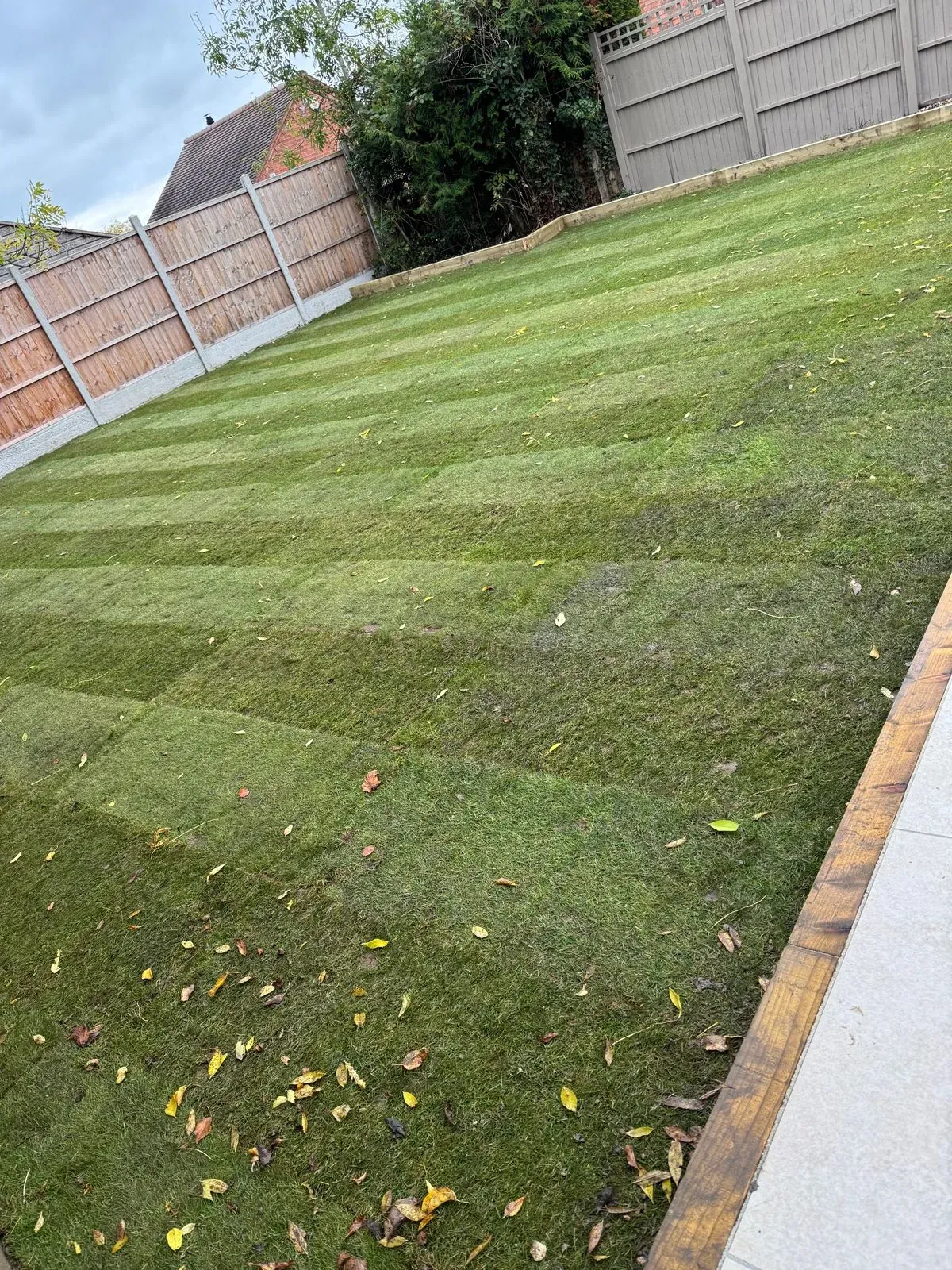 Garden Landscaping
