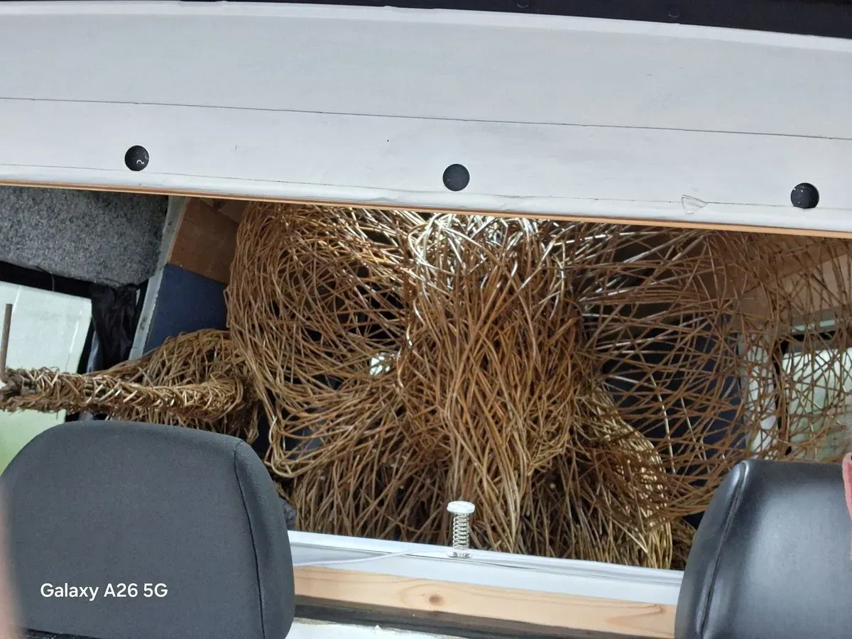professional movers packing furniture in Exmouth