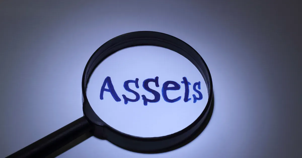 Asset searches