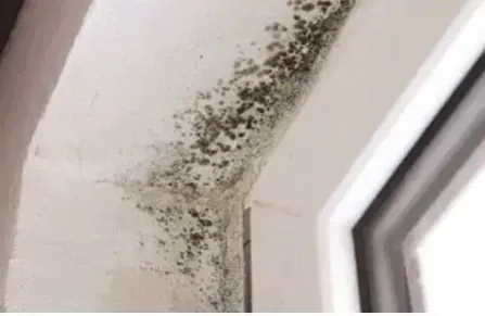 Condensation & Mould Control