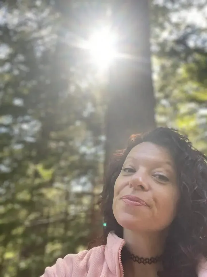 Descriptive text for the image