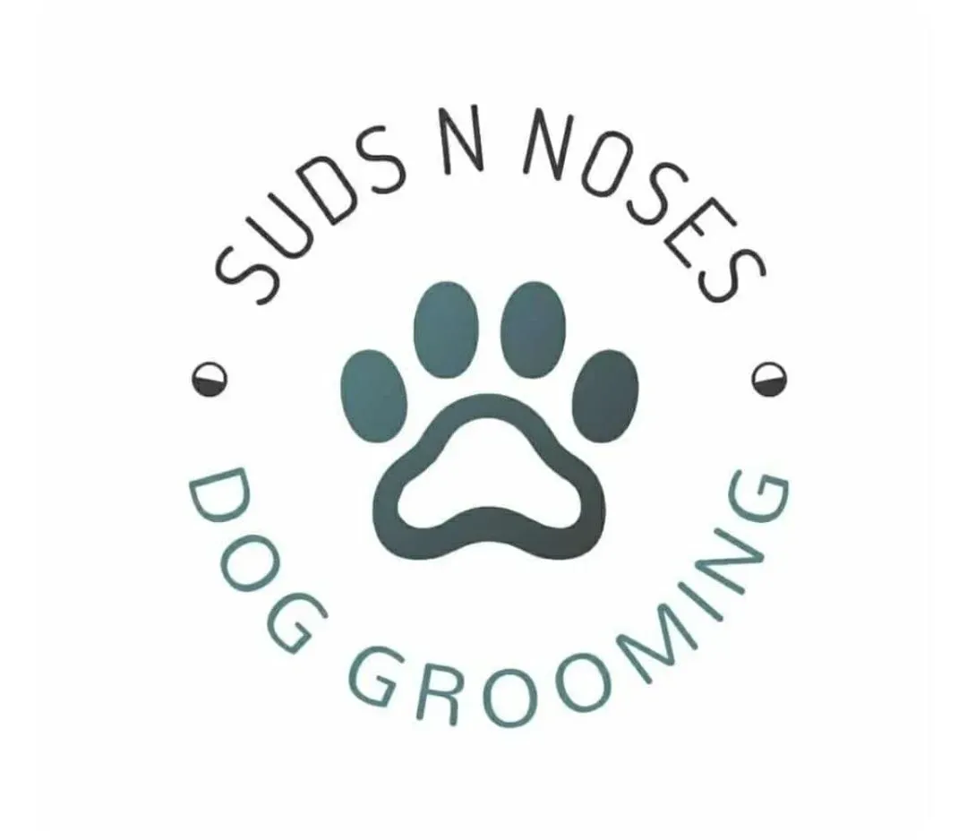 Suds n noses logo