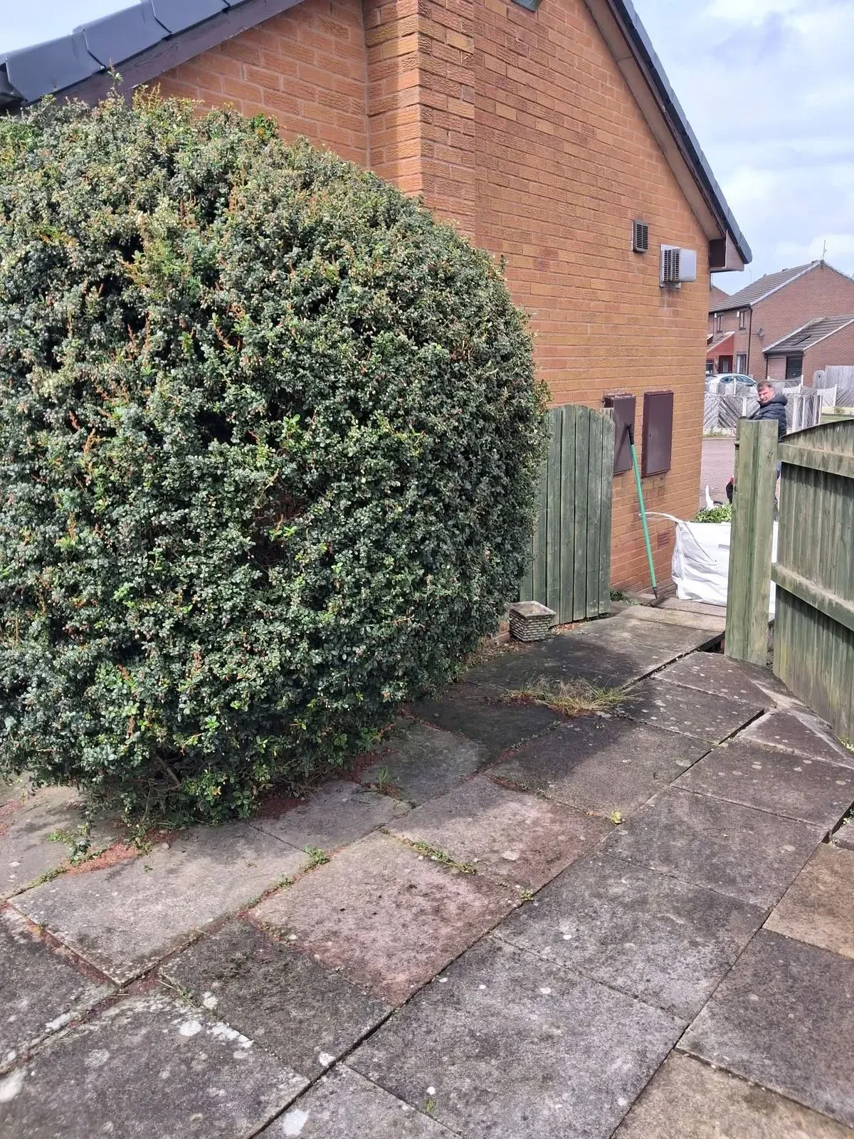 Hedge Trimming