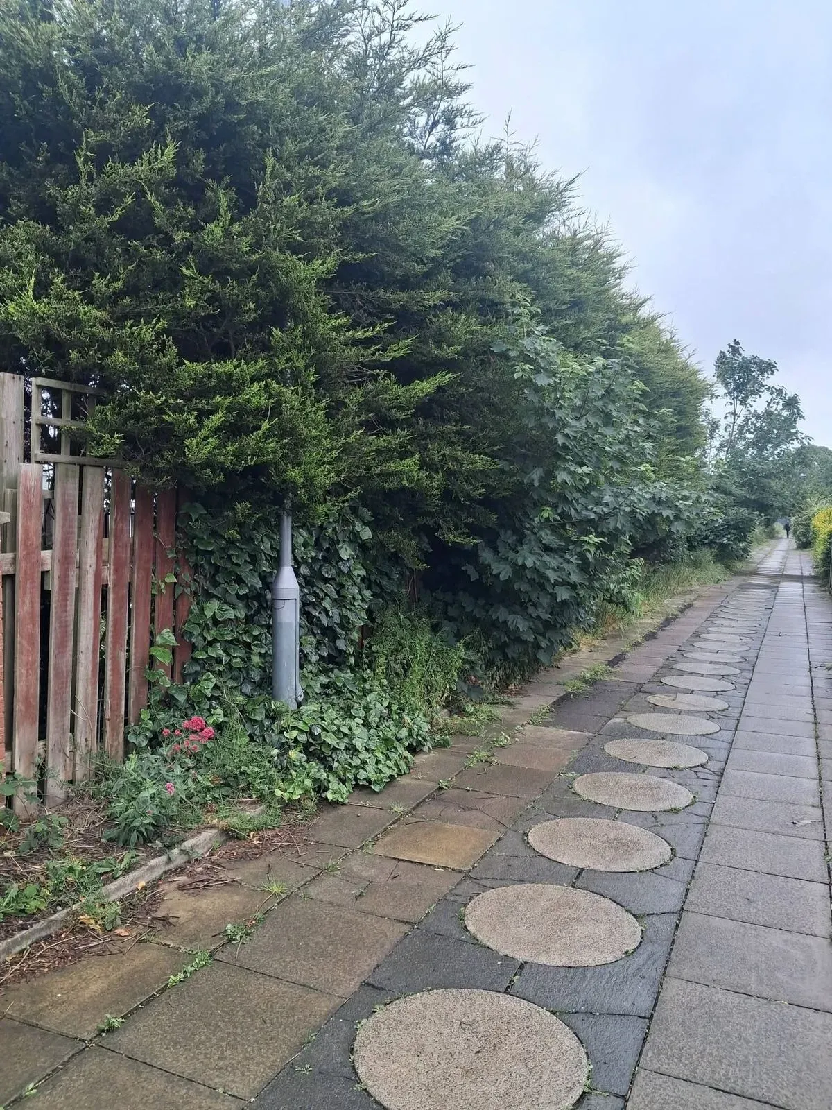 Paving and Patios