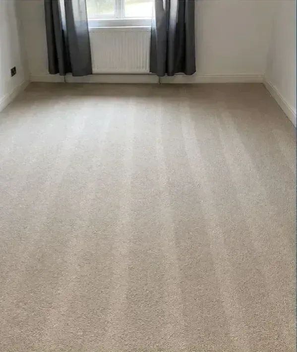 Carpet cleaning image background image