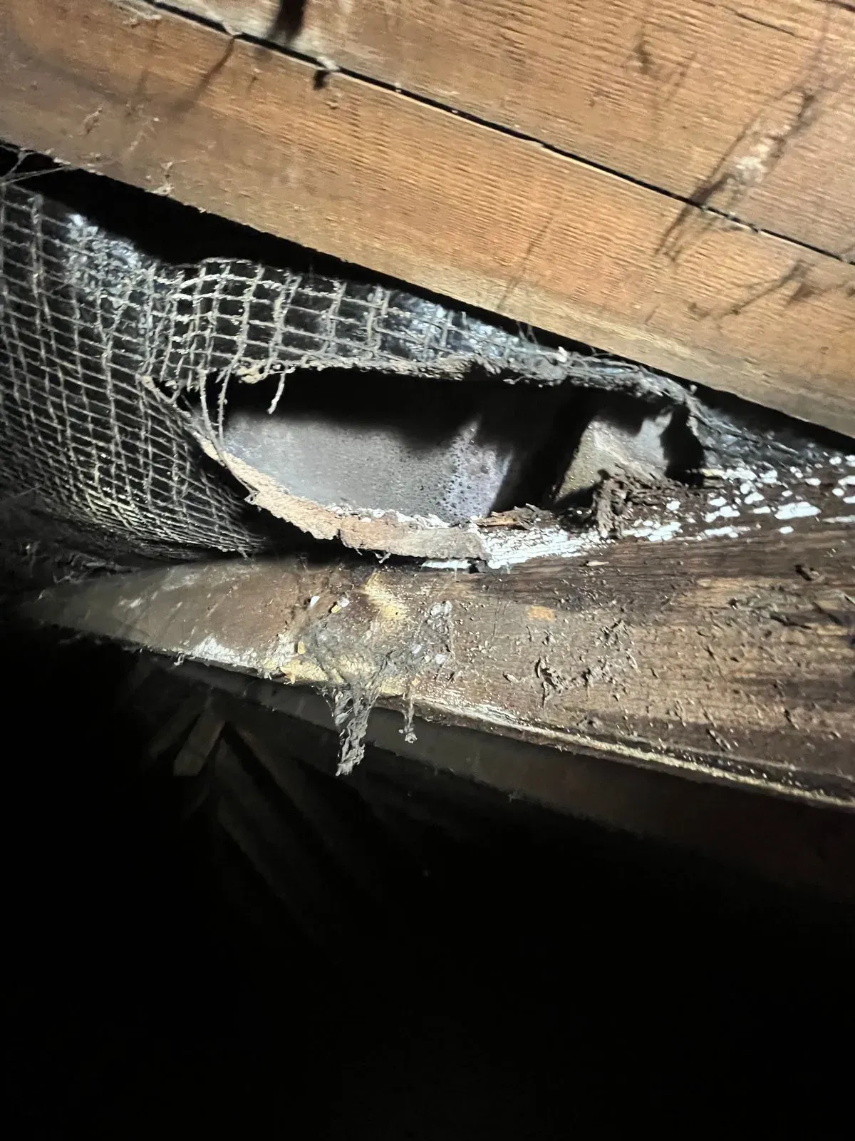 Leak detection and repair image background image