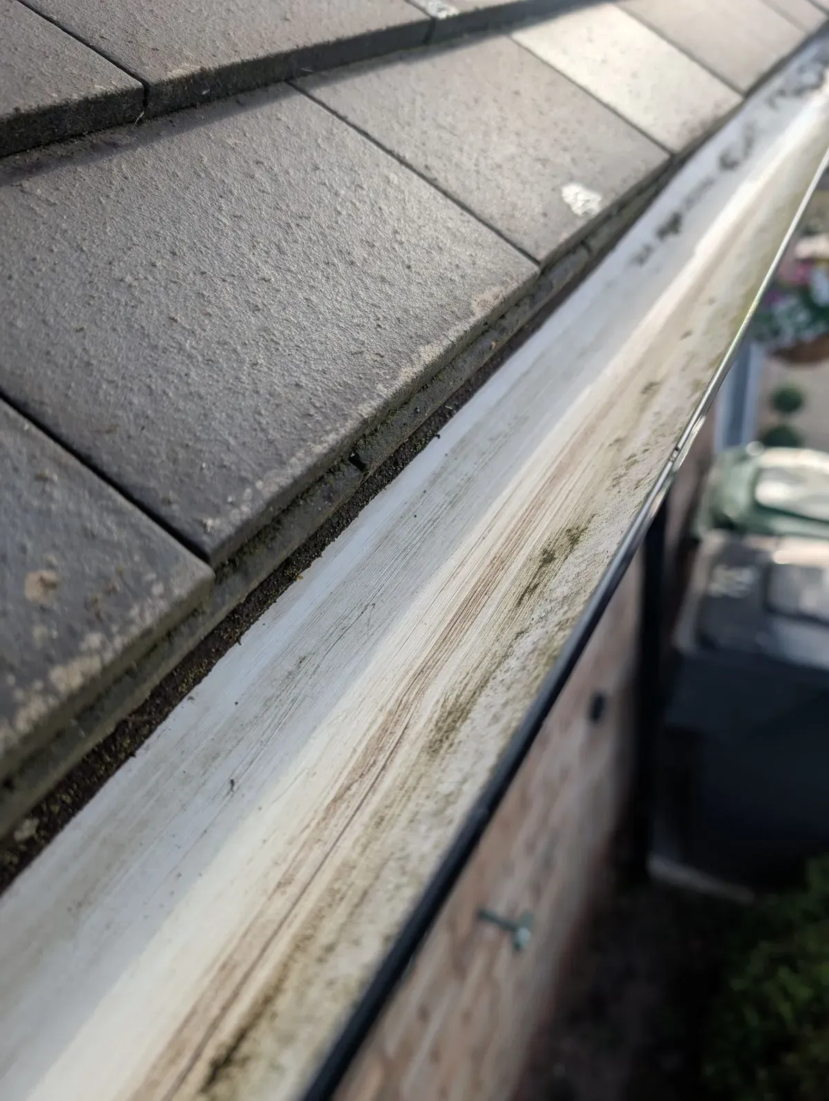 Gutter Cleaning