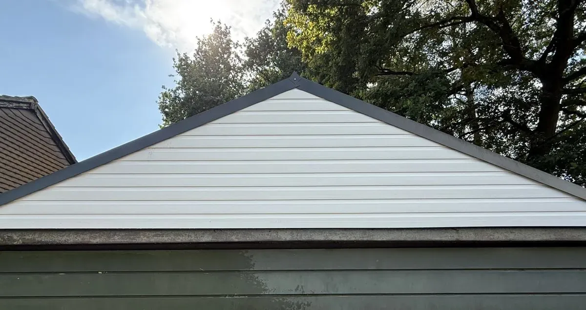 Fascia and Soffit Cleaning