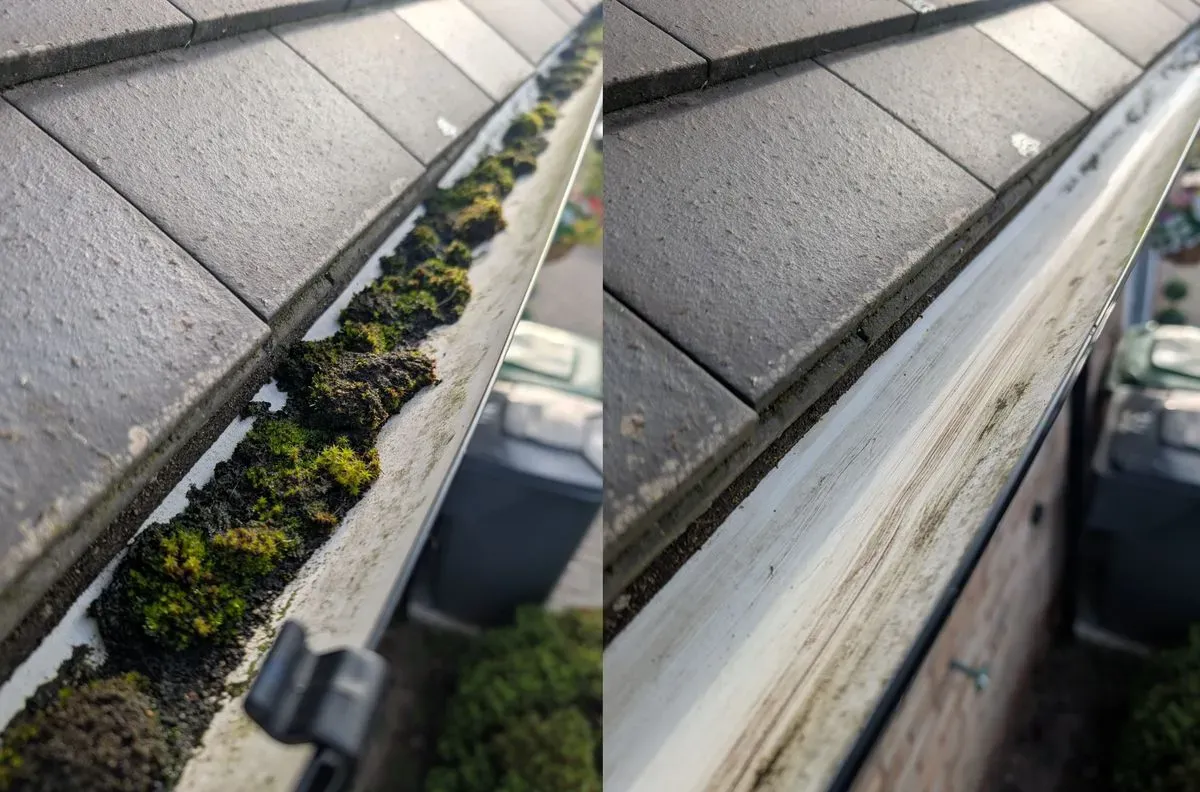 Gutter Cleaning