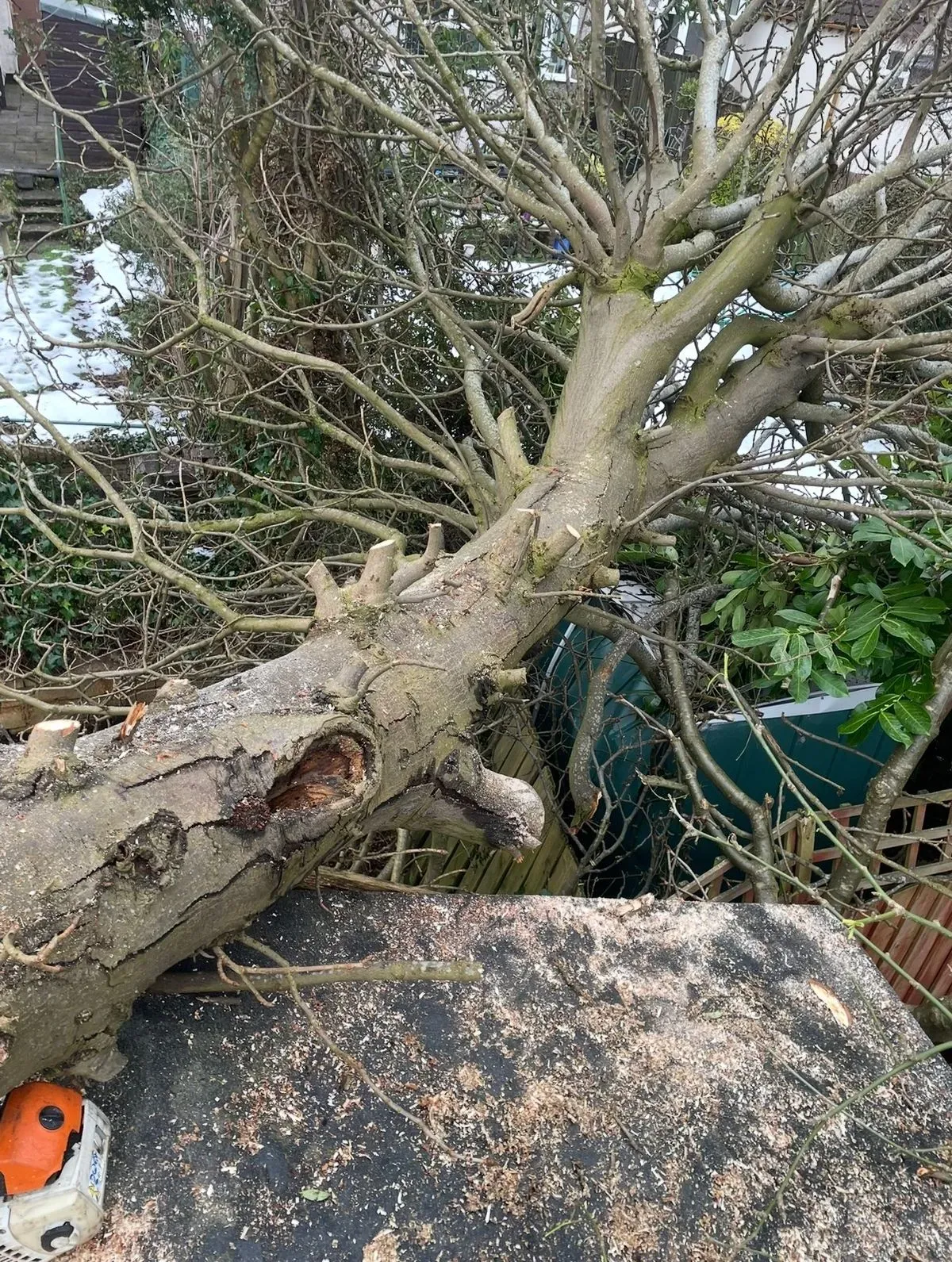 Emergency tree services image background image