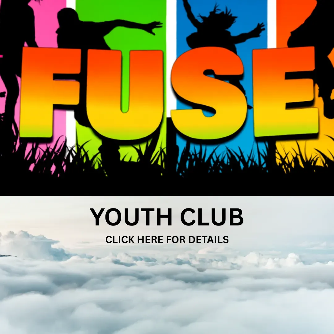 Descriptive text for the image